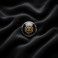 The Veltrion Crest Pin